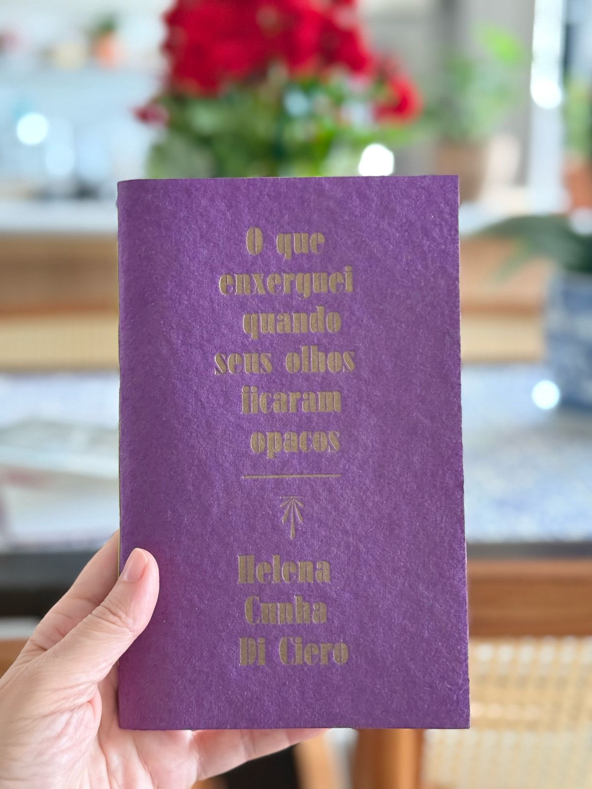 Observatório Psicanalítico OP 575/2025