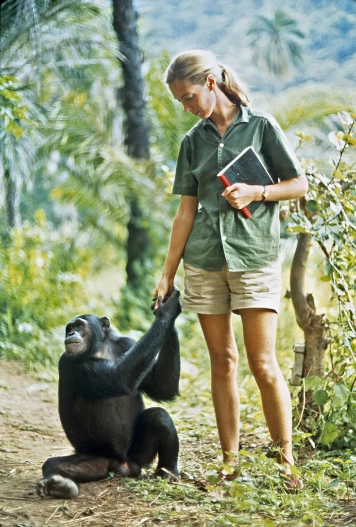 Observatório Psicanalítico OP 618/2025