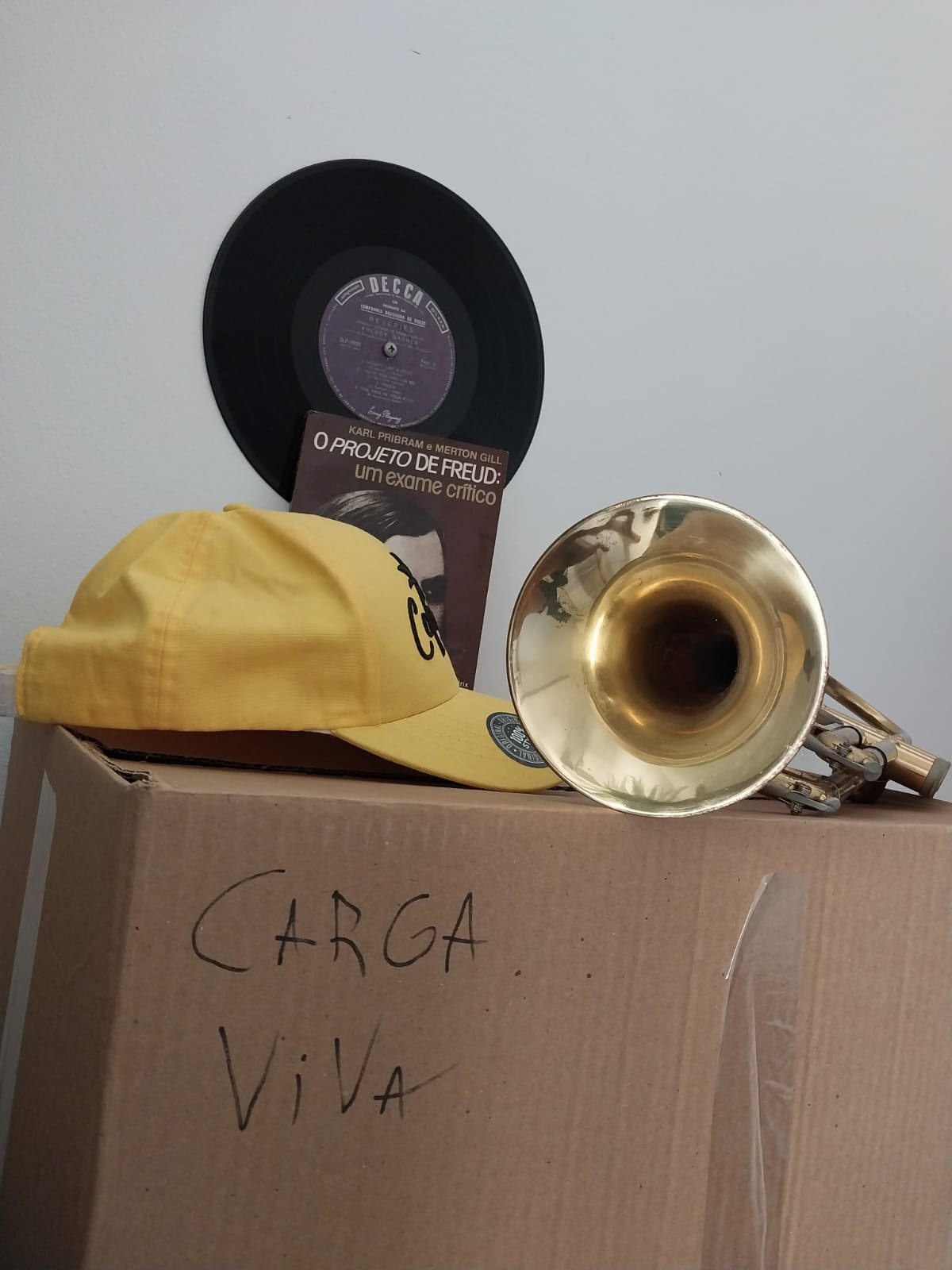 Observatório Psicanalítico OP 664/2026