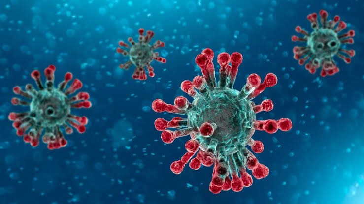 Pandemia do coronavírus, epidemia de pânico e a evolução da humanidade