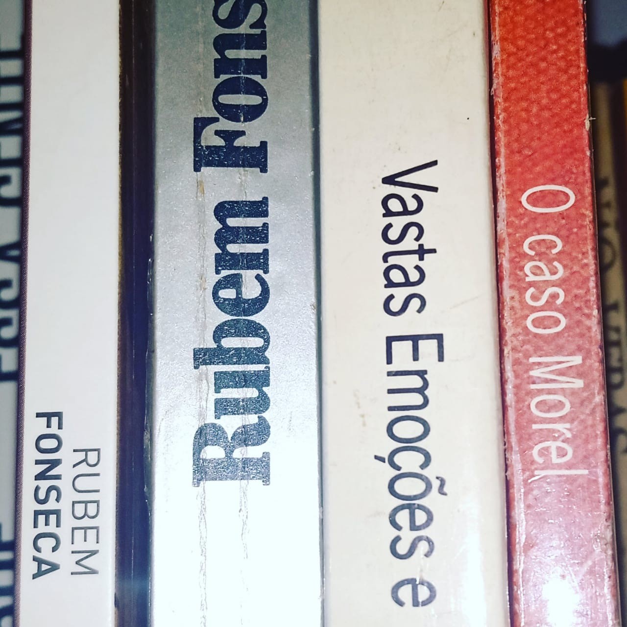 As vísceras de Rubem Fonseca