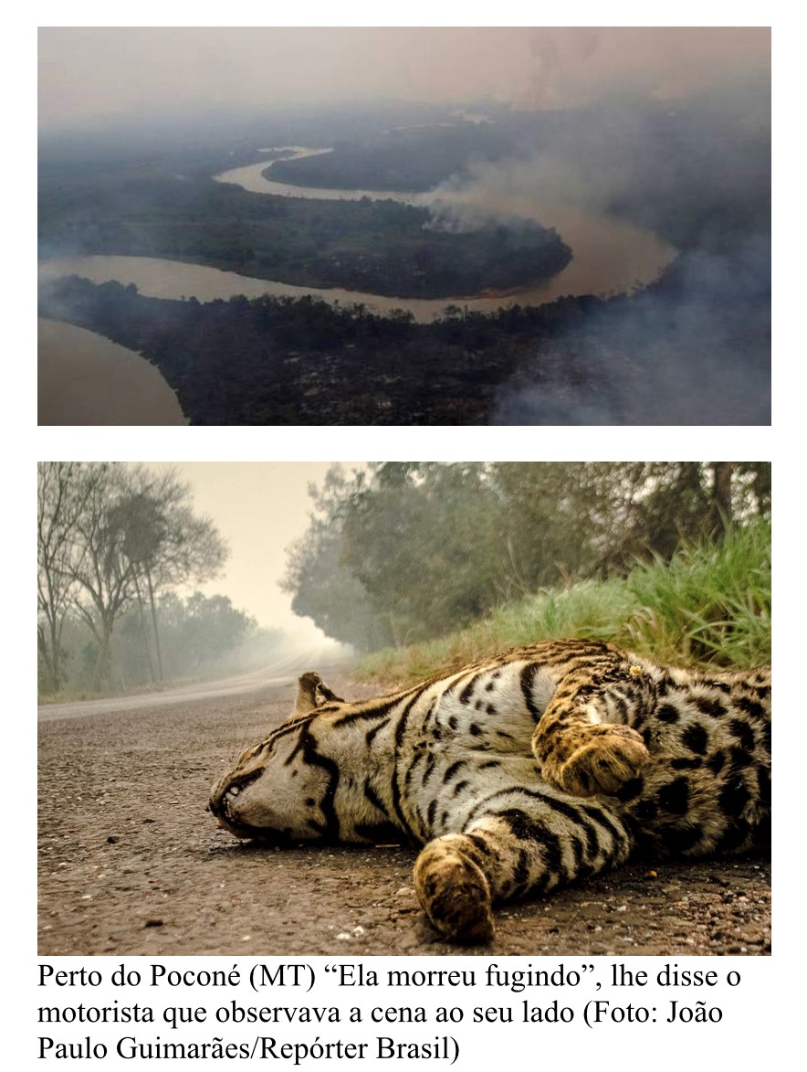A fumaça do fogo pantaneiro
