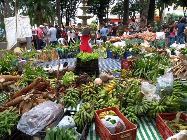 O Quilombo Campo Grande