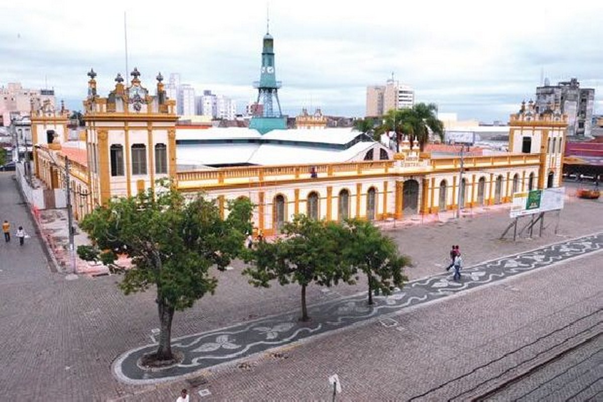 Febrapsi e SPPel realizam jornada científica nos dias 24 e 25 de agosto