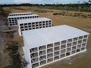 Observatório Psicanalítico – OP 295/2022