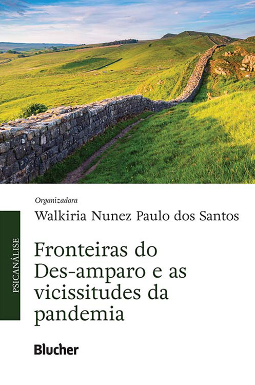 Fronteiras do Des-amparo e as vicissitudes da pandemia