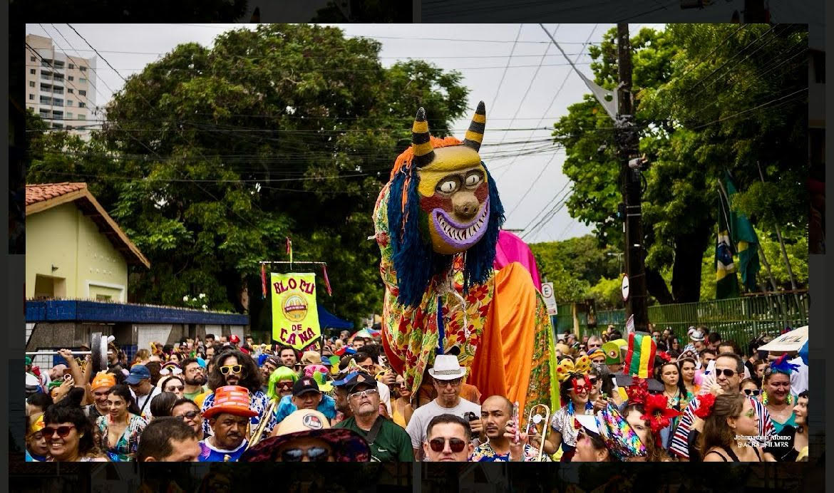 Observatório Psicanalítico OP 466/2024 